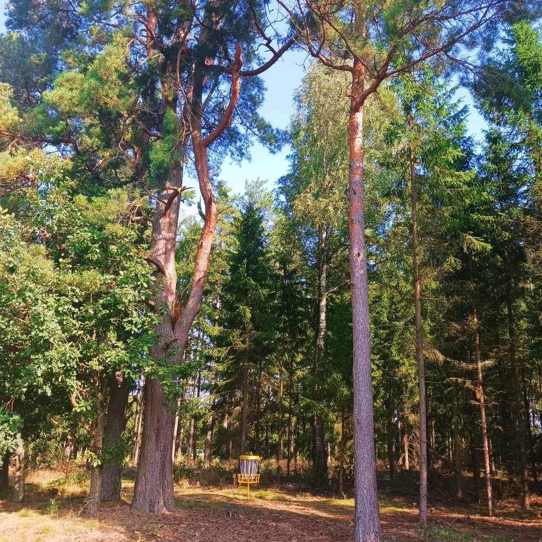 Hål 16
