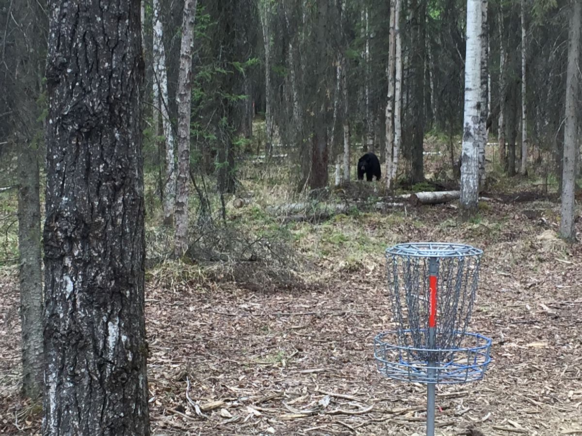 Bring bear spray