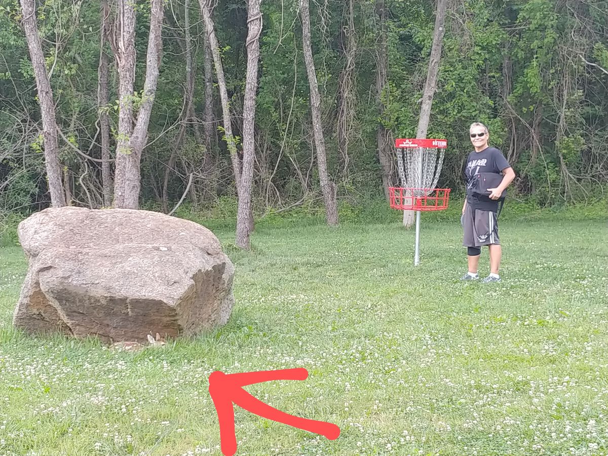 Baby deer on hole 17