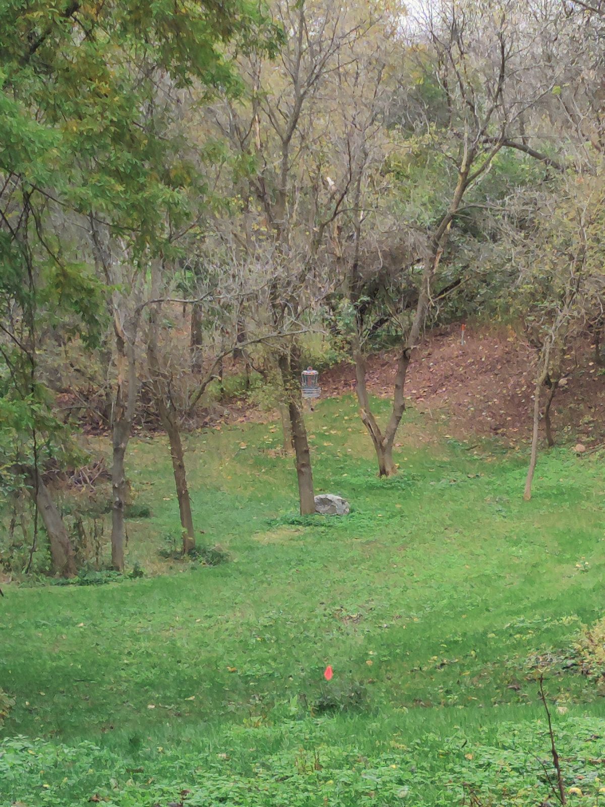 #2 mid-fairway view