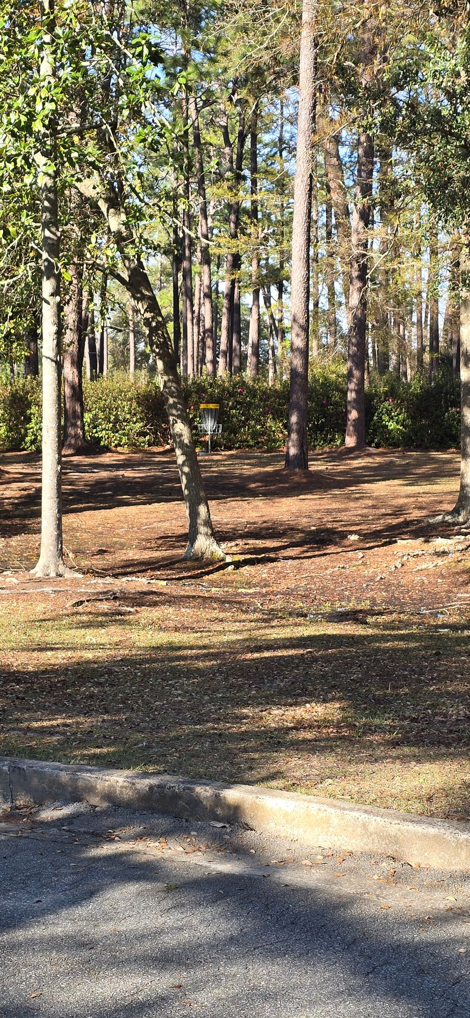 From hole 15 tee pad