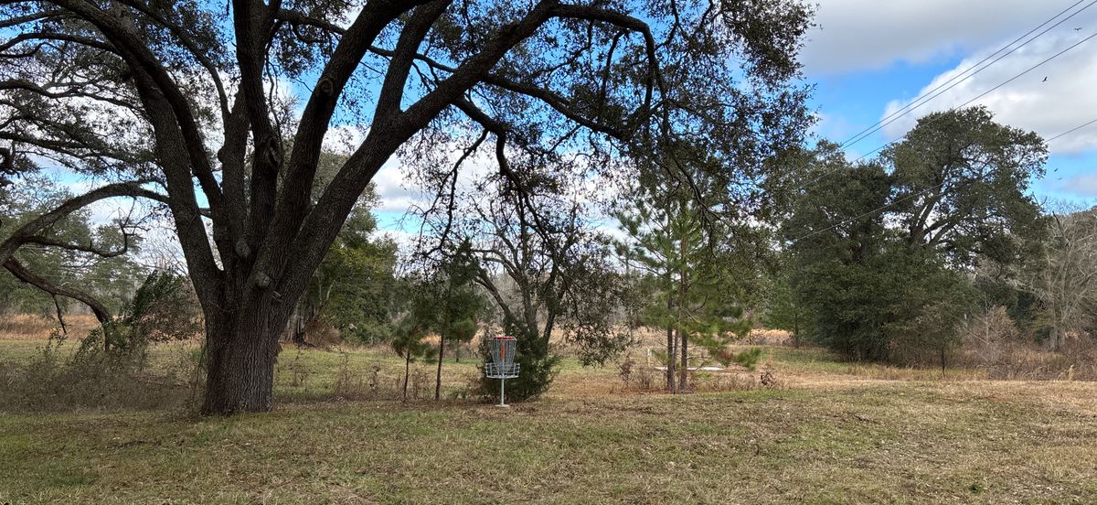 Hole 12 Red
