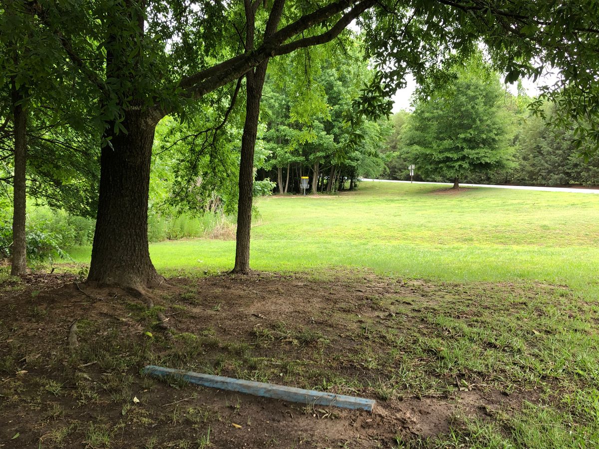 Hole #8 tee