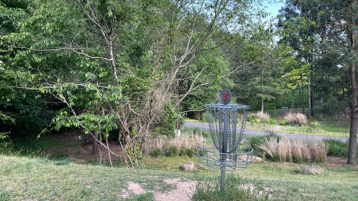 Hole 3 has a steep hill on backside. Watch for rolling discs! Thick trees on left. Bushes. Greenway.
