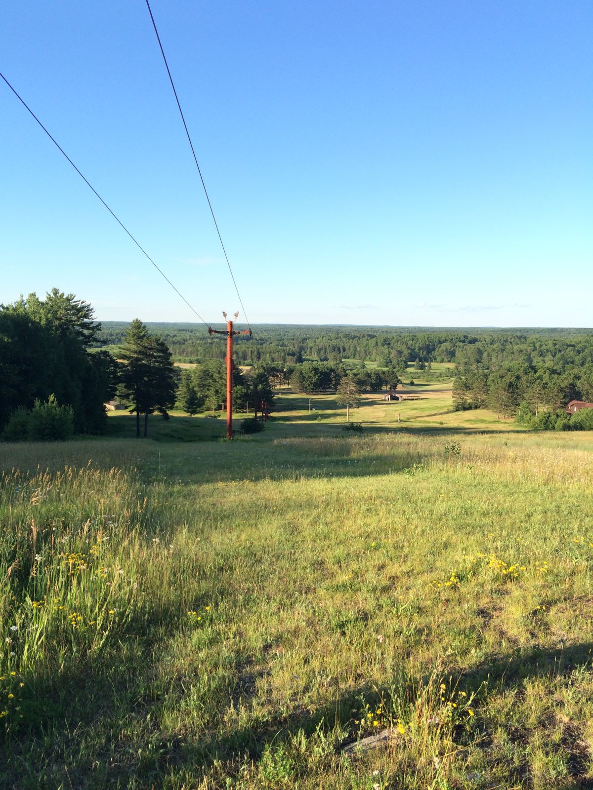 Hole 23. Basket on left near the 2 pines.