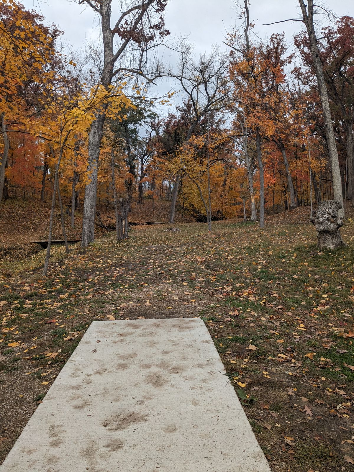 Hole #1 from Red tee