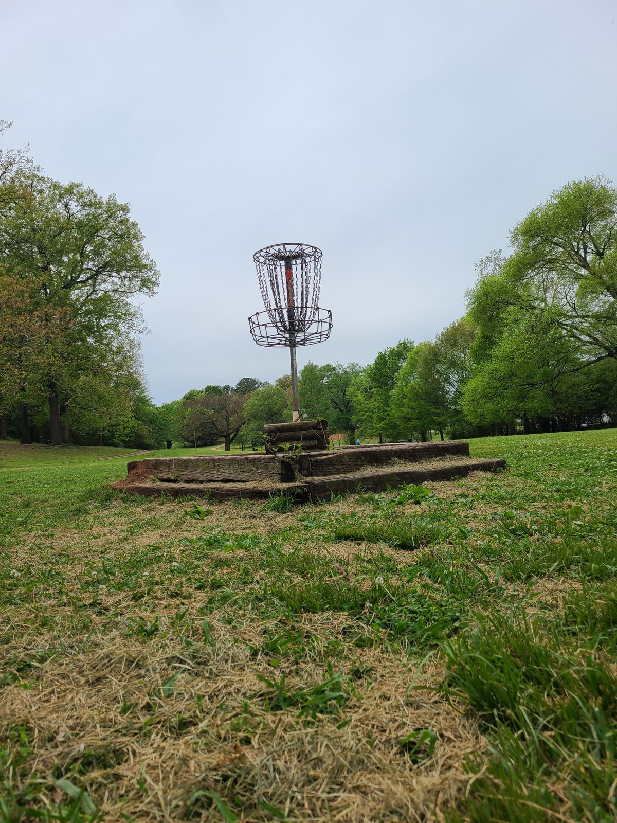 One of the baskets for hole 5