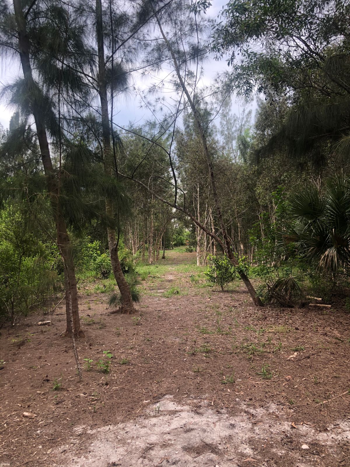 Hole 4