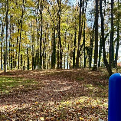 Hole 5