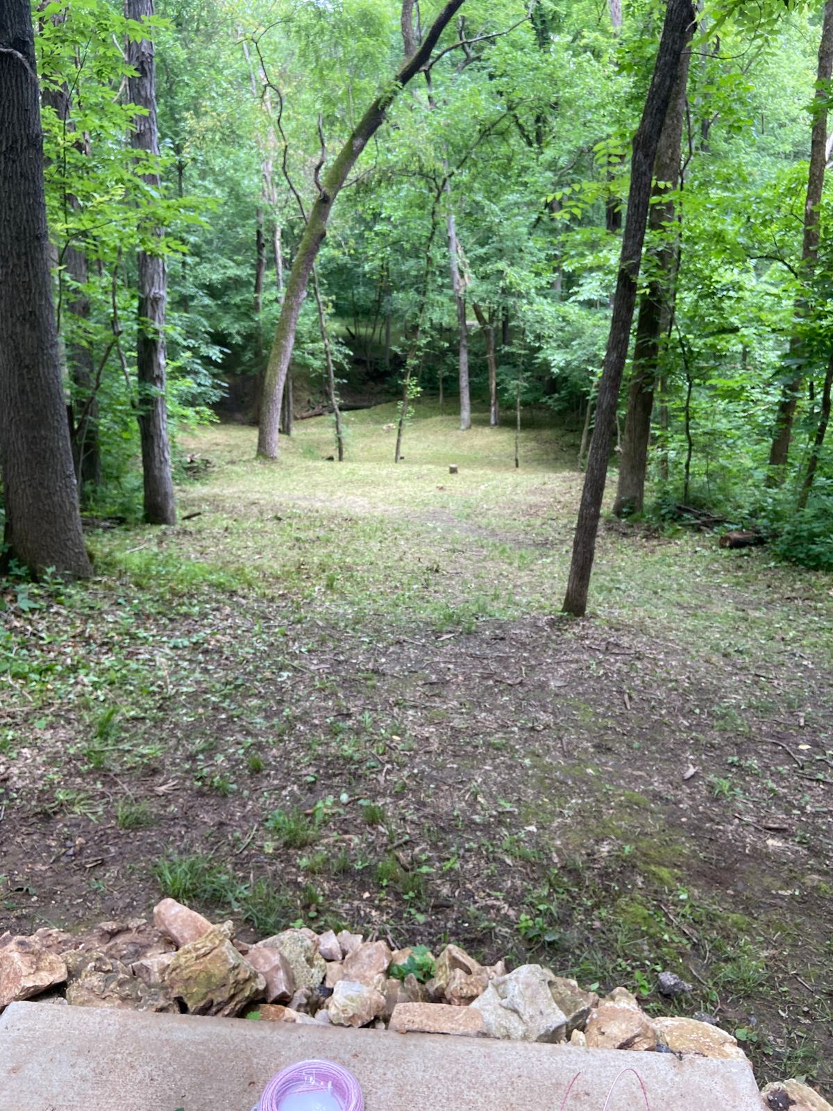 Tee 11