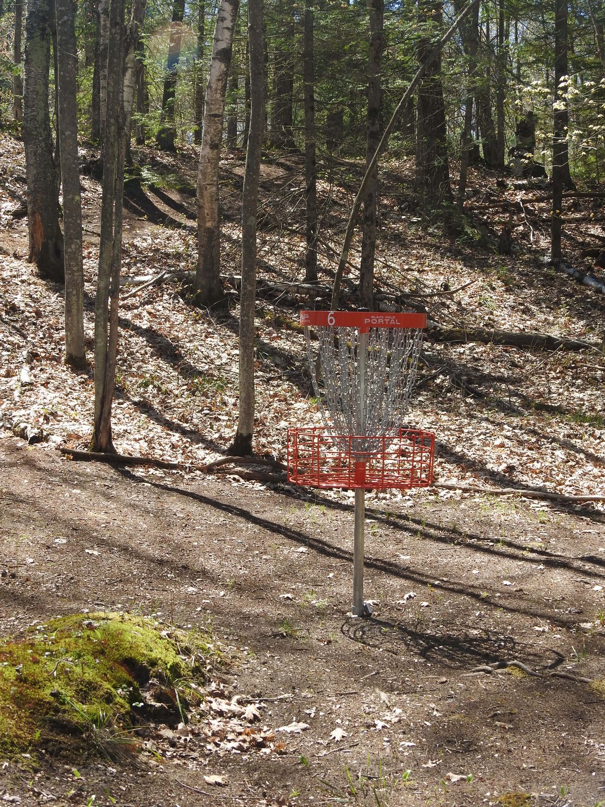 Basket #6