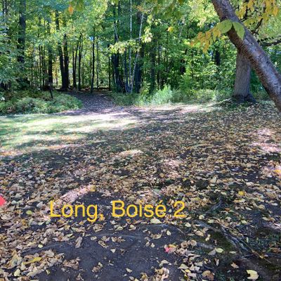 Départ long, boisé 2