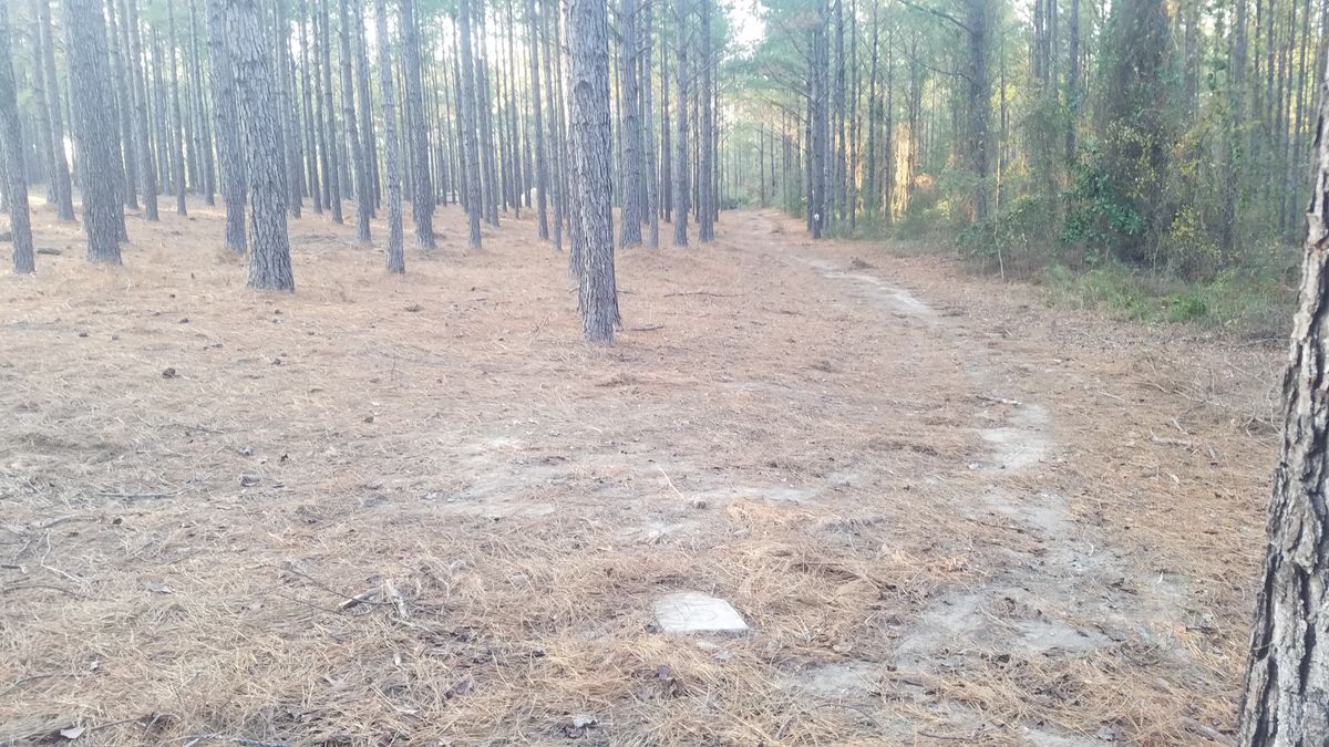 Hole 15