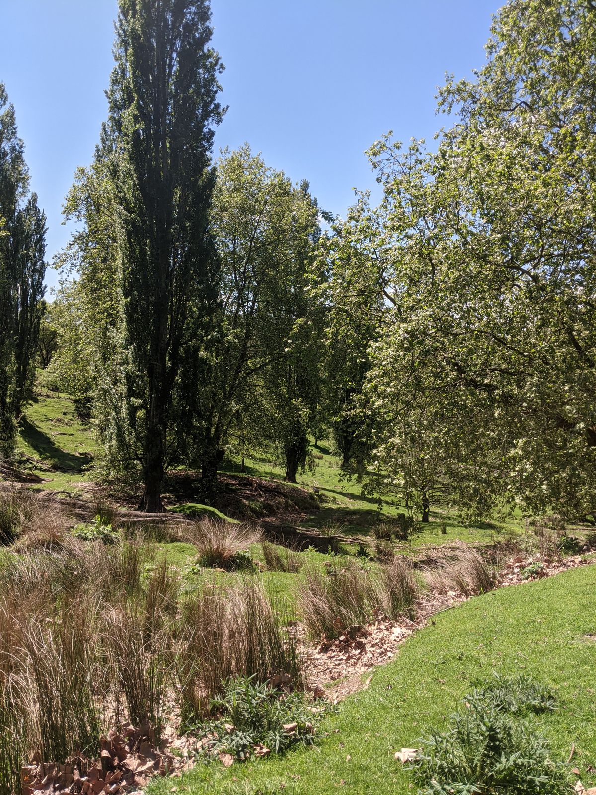 Hole 13 fairway