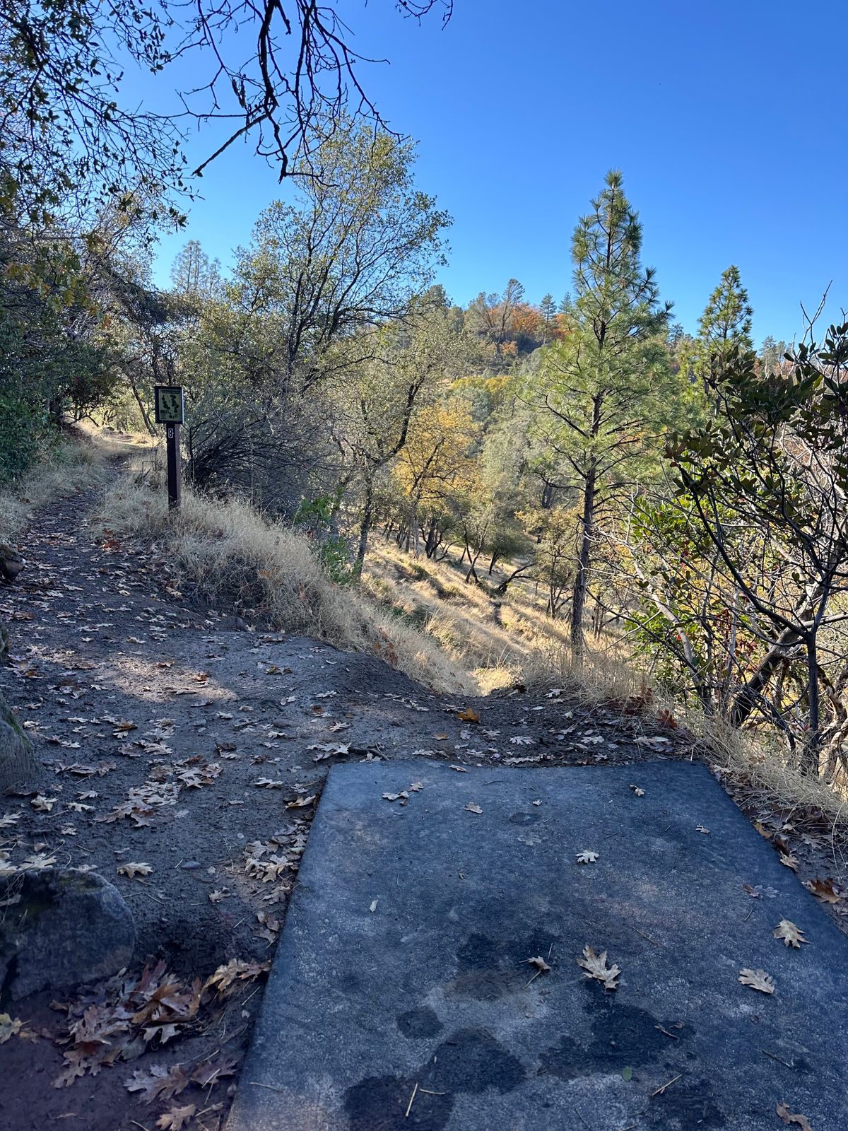 Downhill home 8