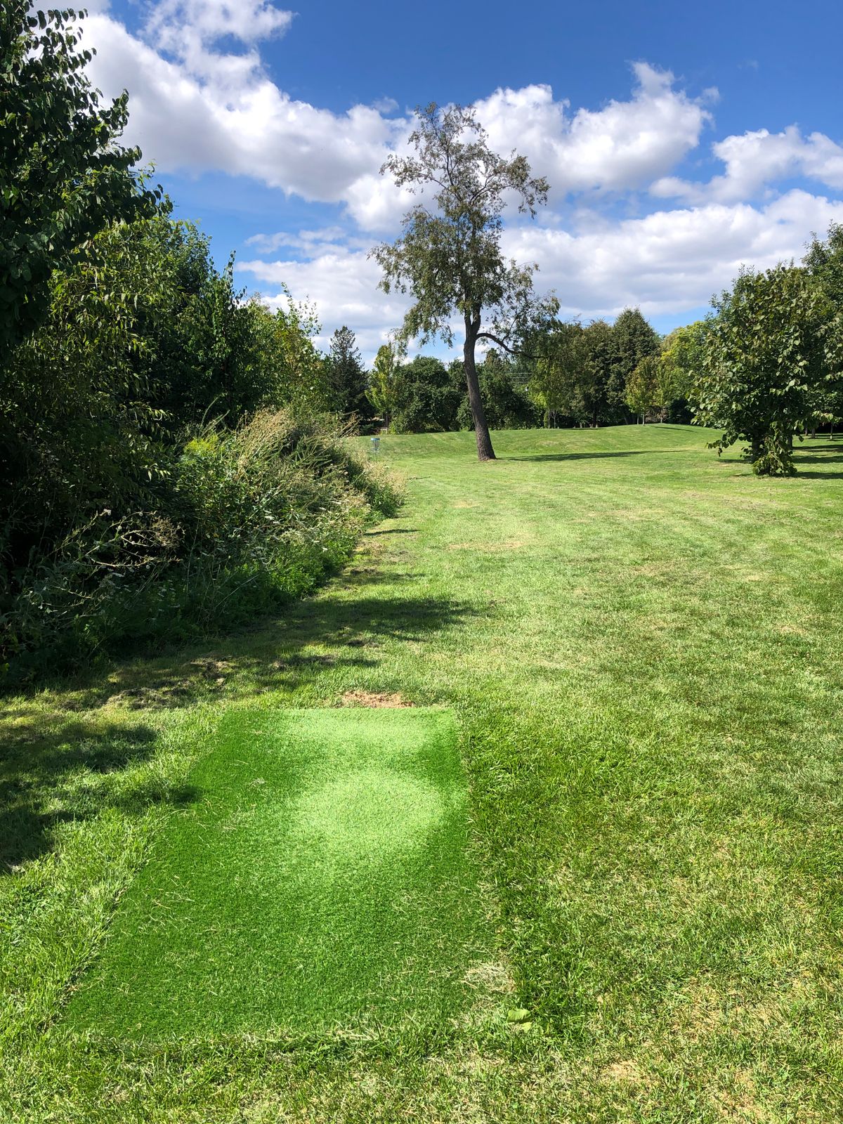 Hole #5 - Tee pads installed June 2024.