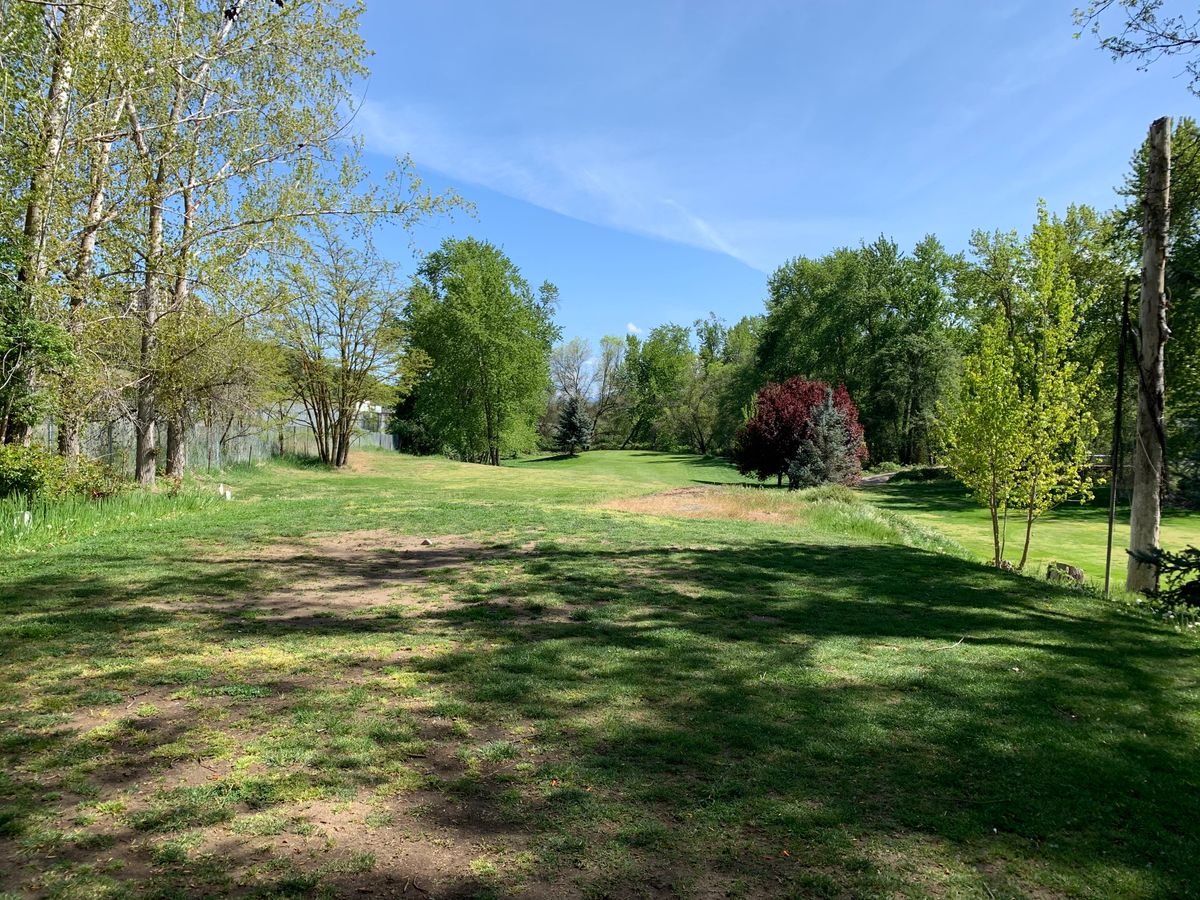 7/16 tee pad