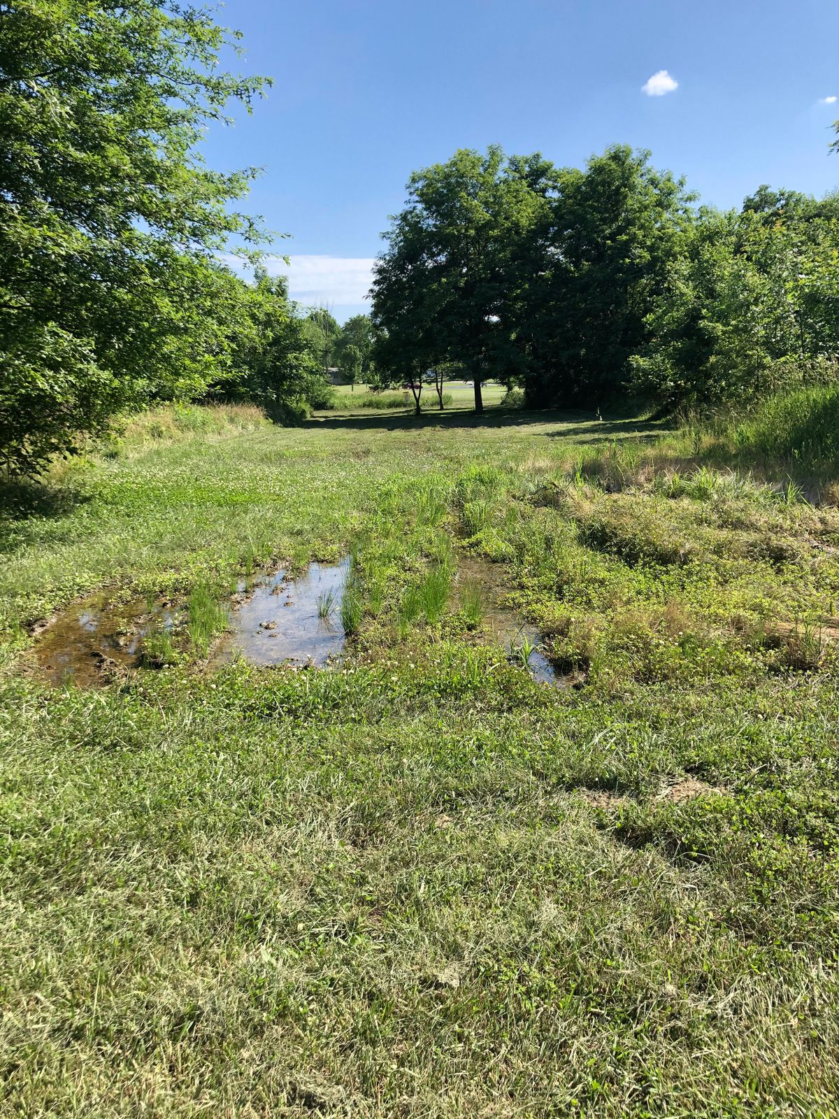 Hole 10 Fairway