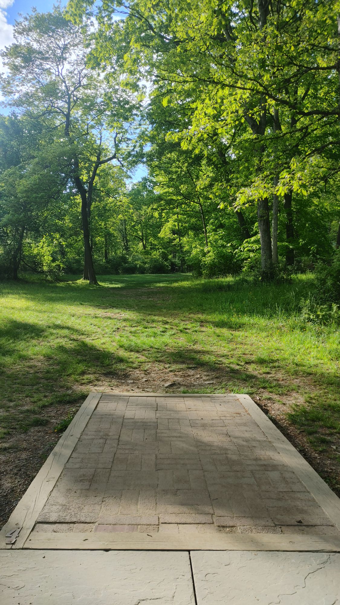 Hole #4