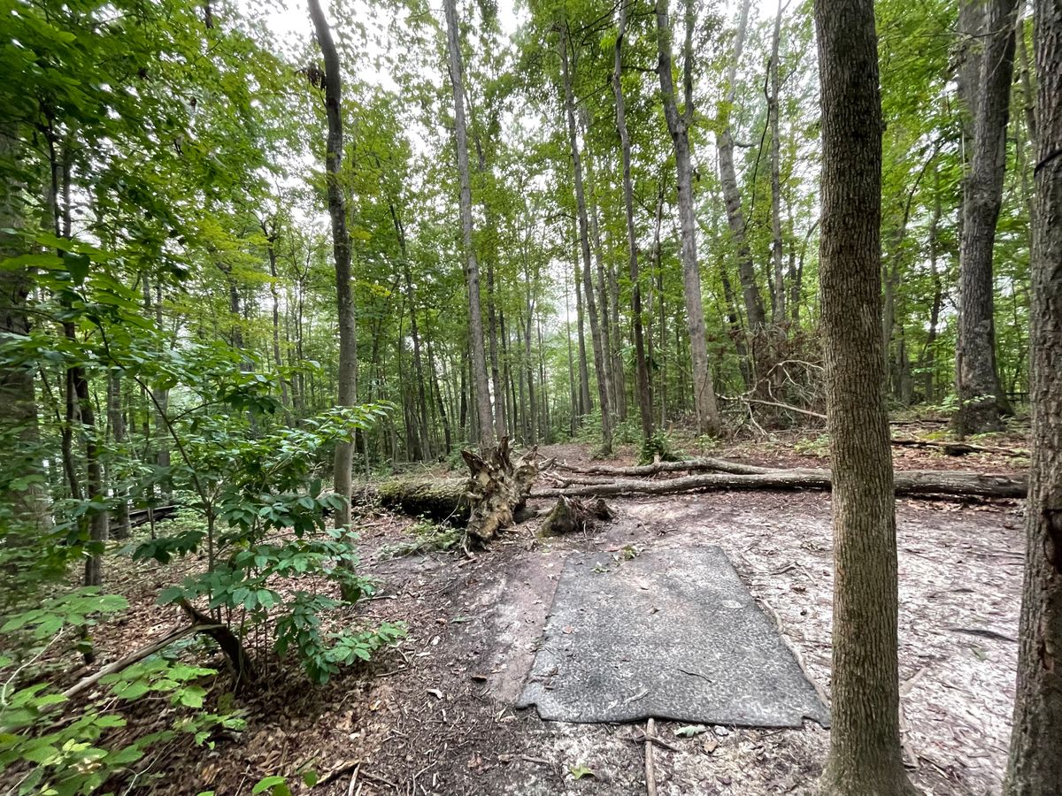 Hole 9 tee