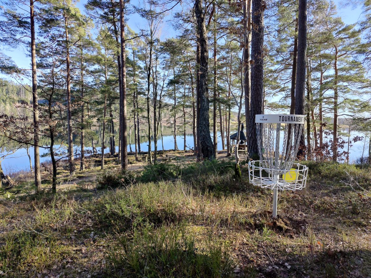 Korgen på hål 5