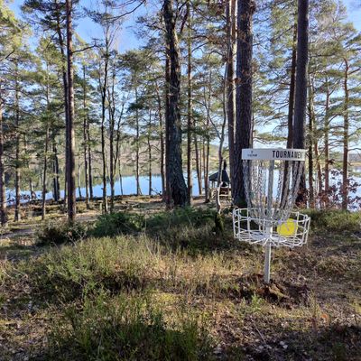 Korgen på hål 5