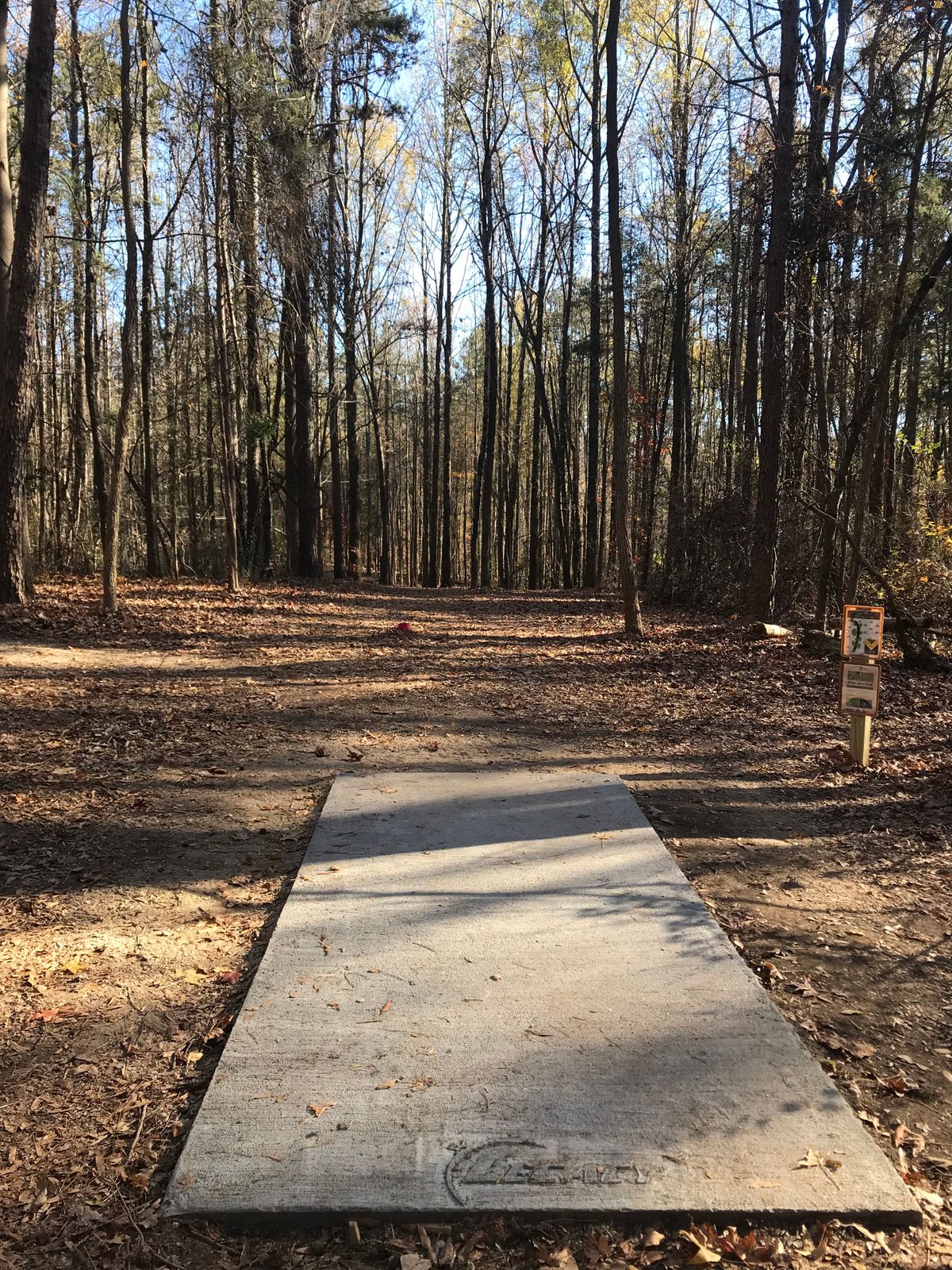 Hole 14 tee