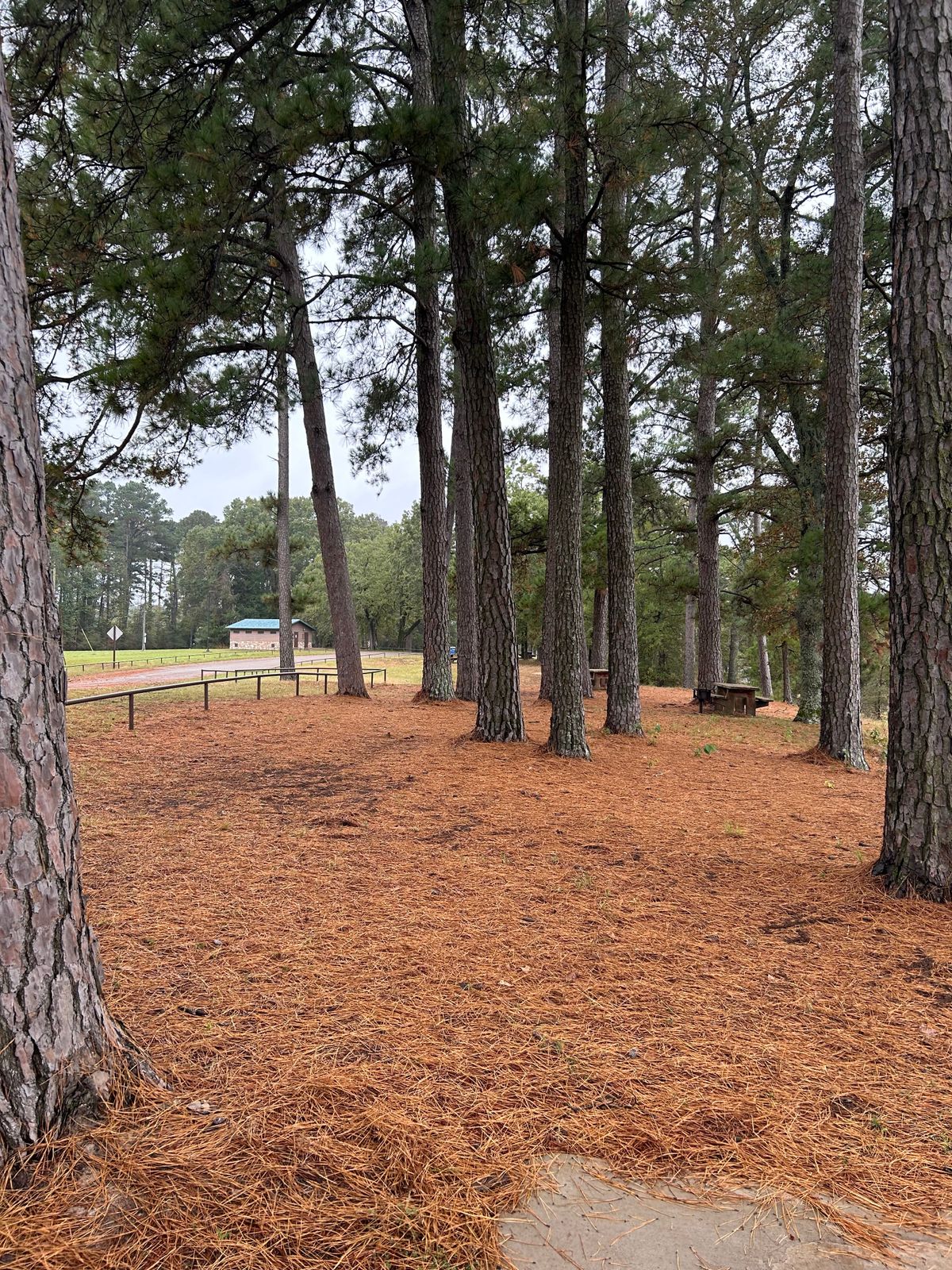 Hole 3 tee shot