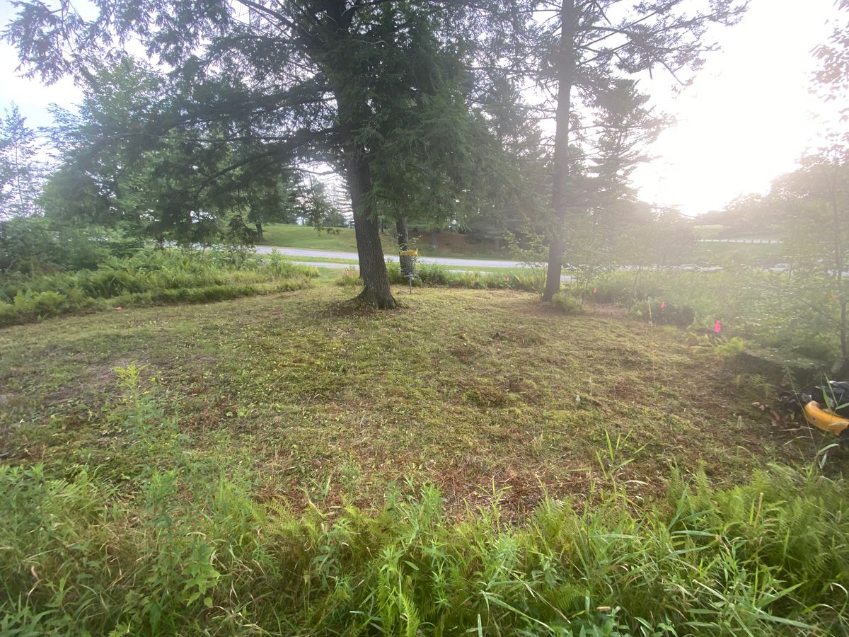 Green of hole 10
