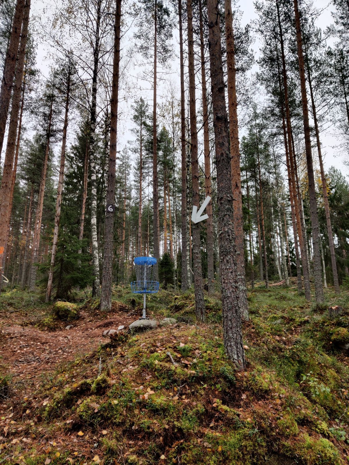 Ylämäkiväylä, nuoli näkyy tiiltä