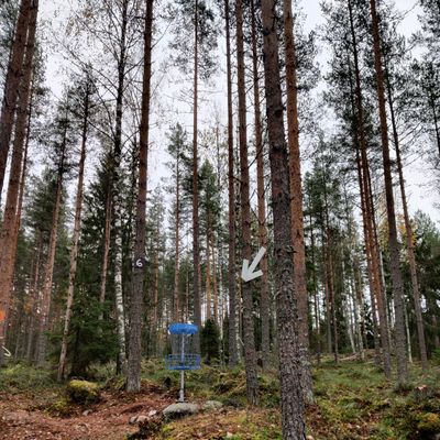 Ylämäkiväylä, nuoli näkyy tiiltä