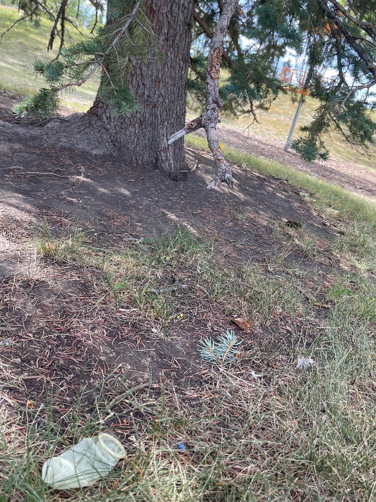 Be wary of condoms near the basket of hole #6!
