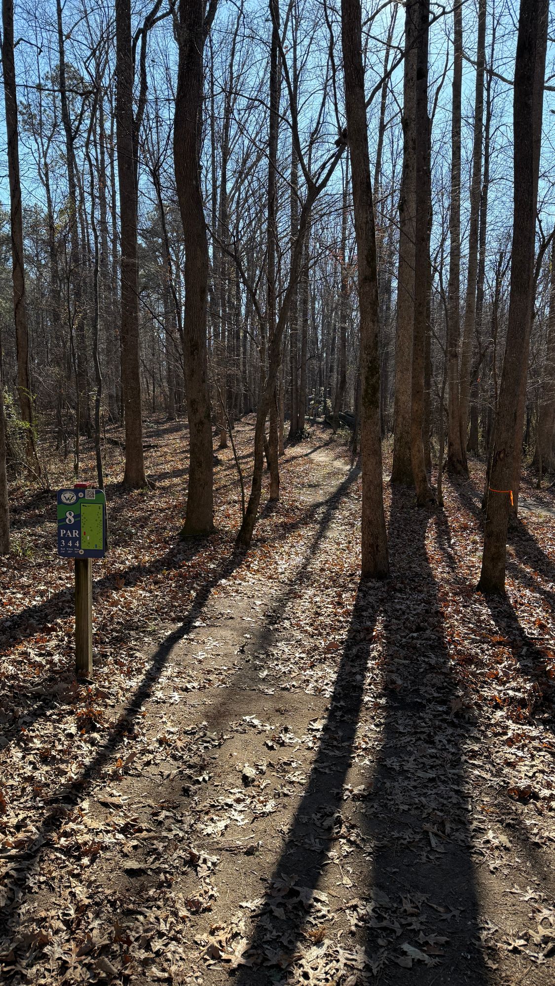 Hole 8 - Reds