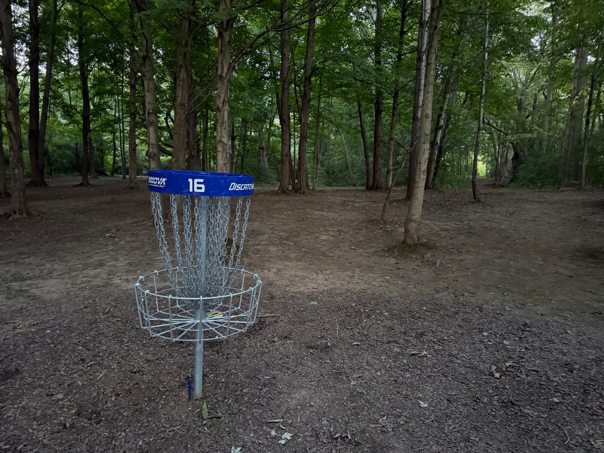 Hole 16 Basket to Tee