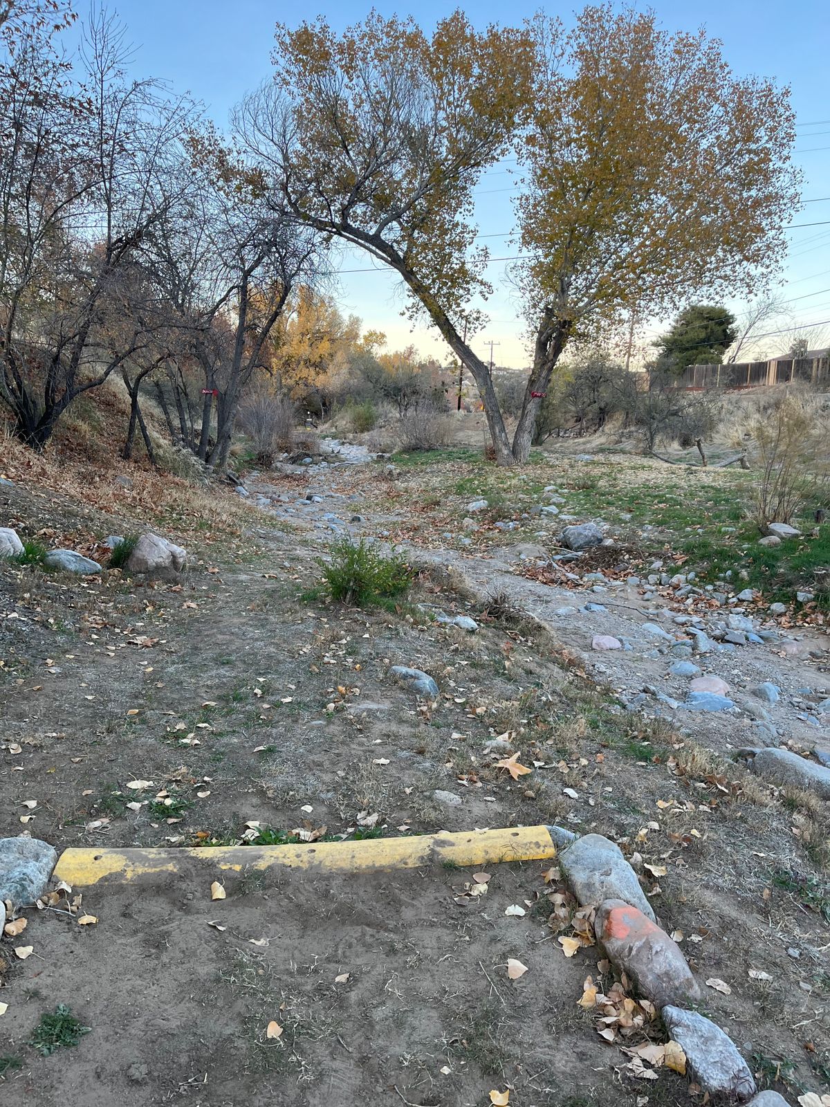 Teepad for hole 6