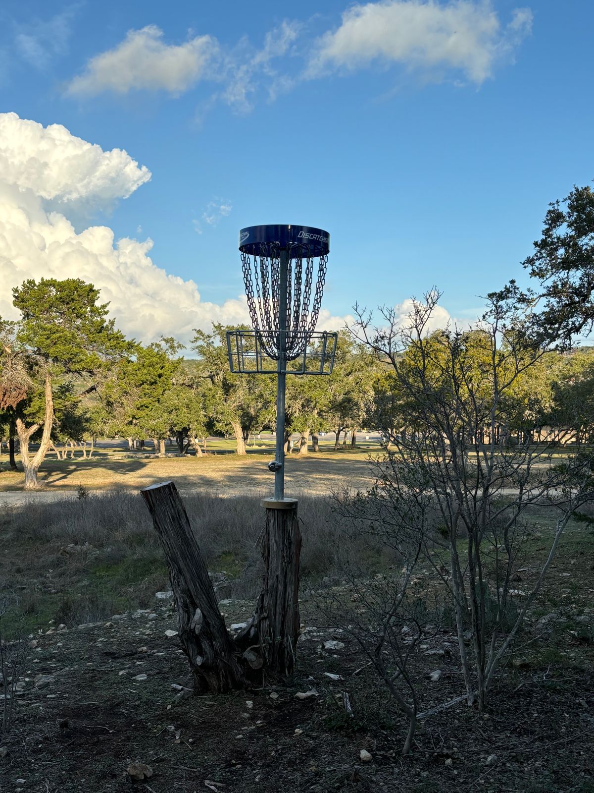 Elevated Basket at Hole 9