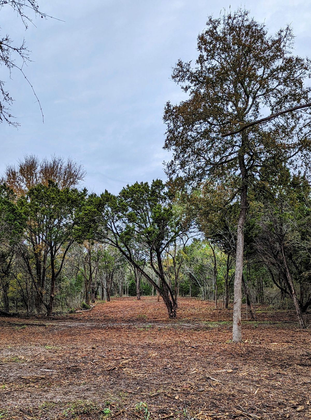 Hole 2 Landing Zone