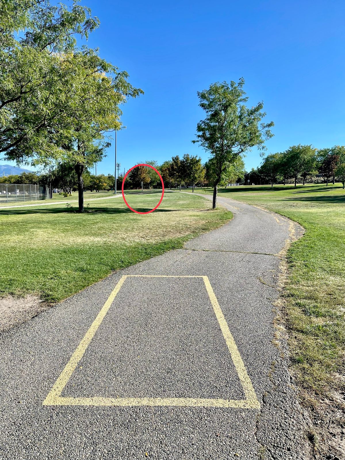 Hole 5 Short Basket