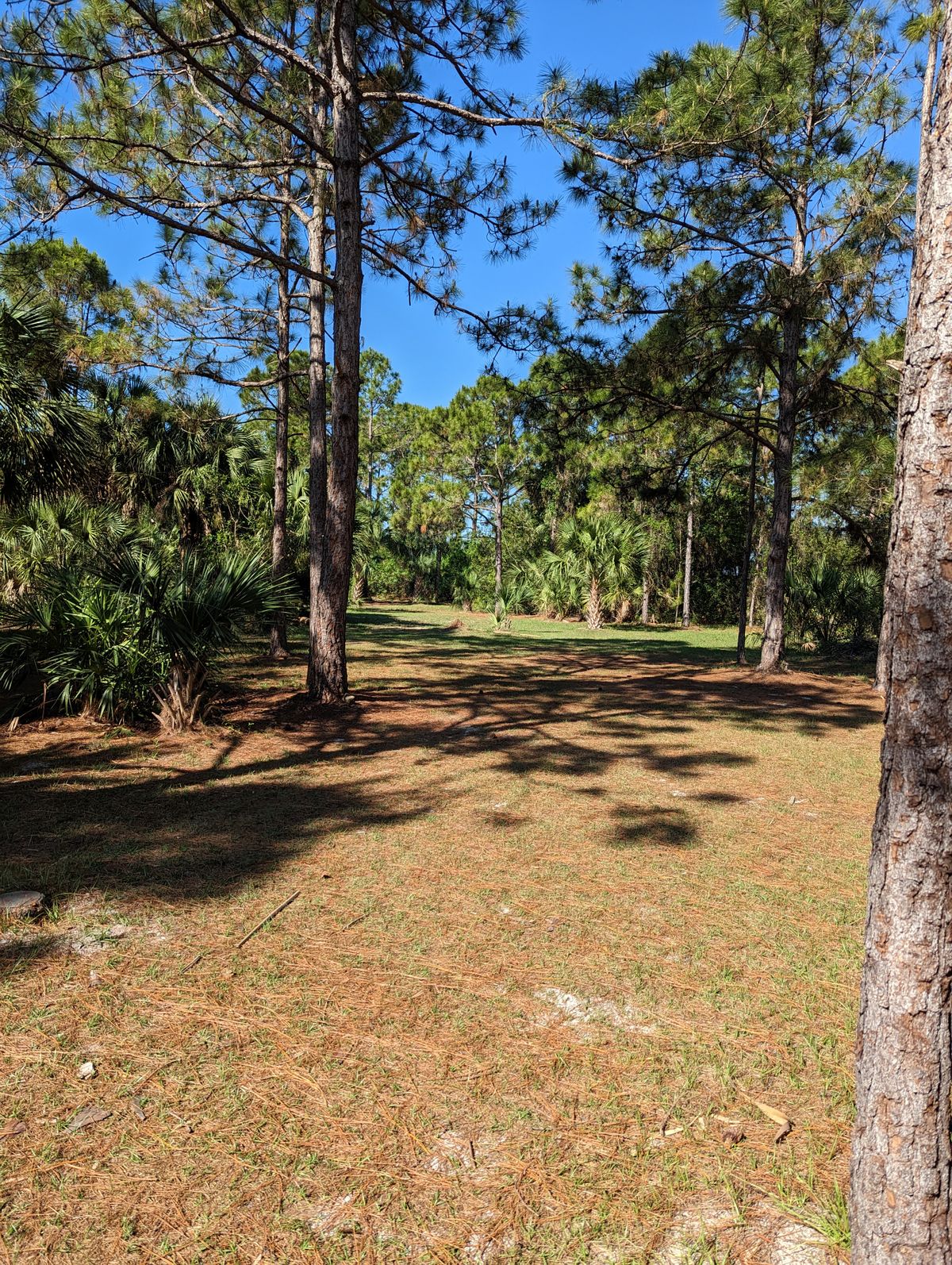 Hole 7 Fairway