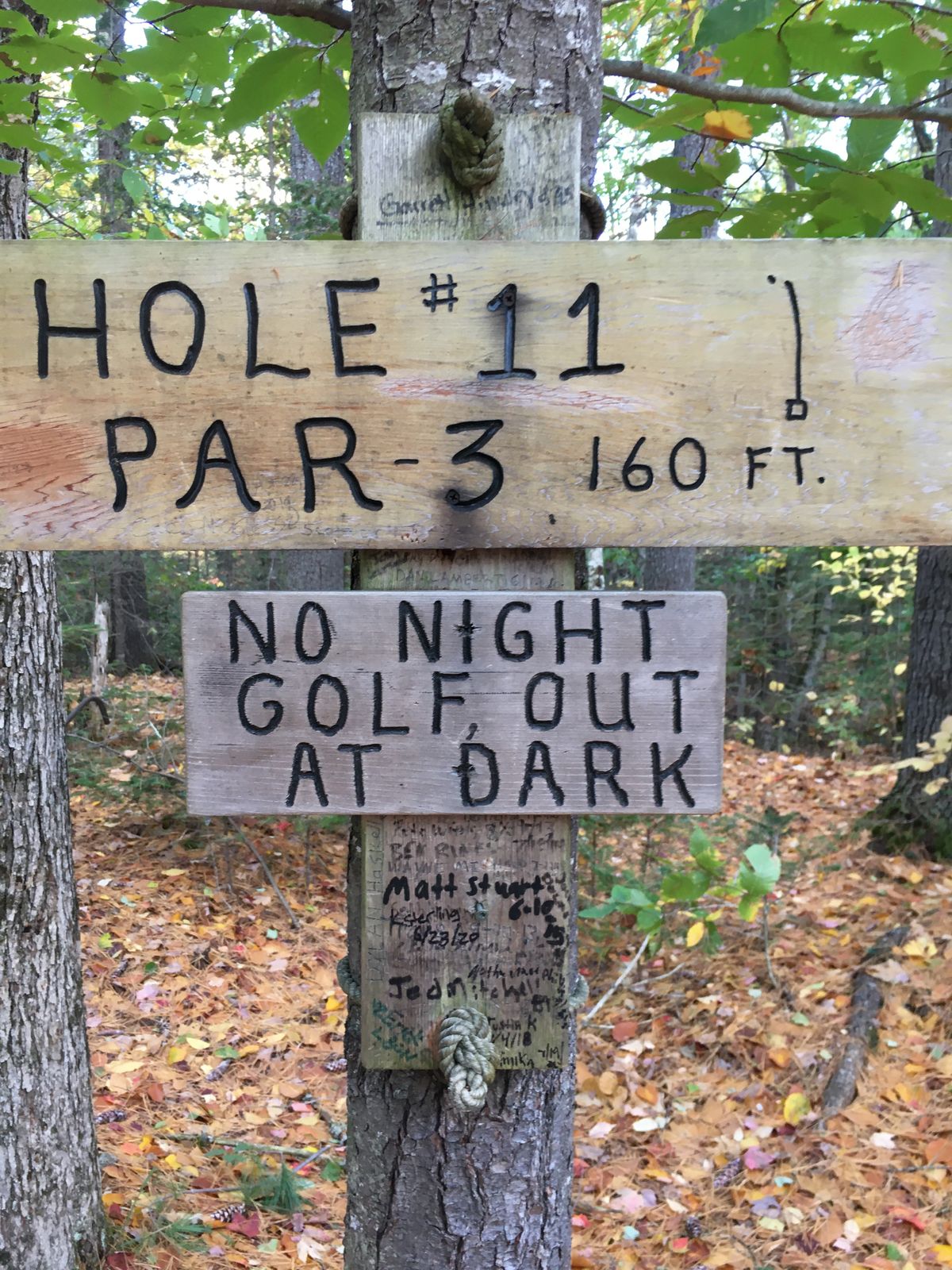 Is there Night Golf in light?