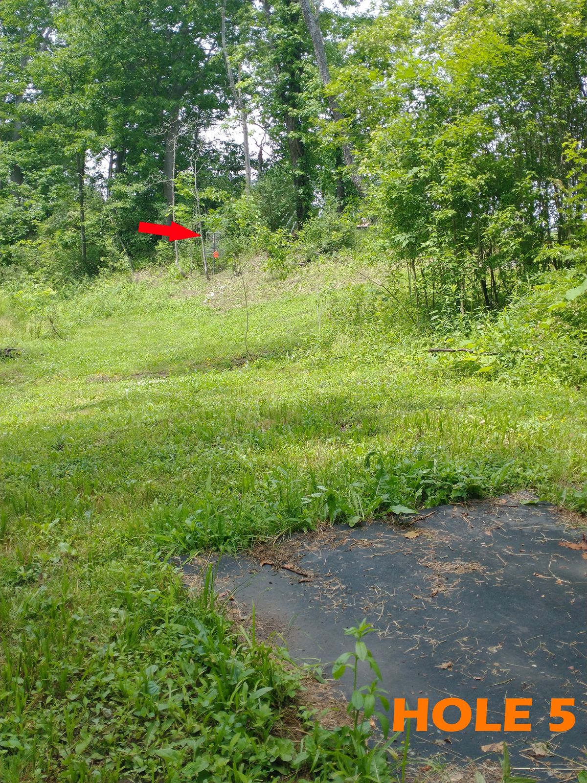 Throw across to basket on side of hill near soccer fields.
