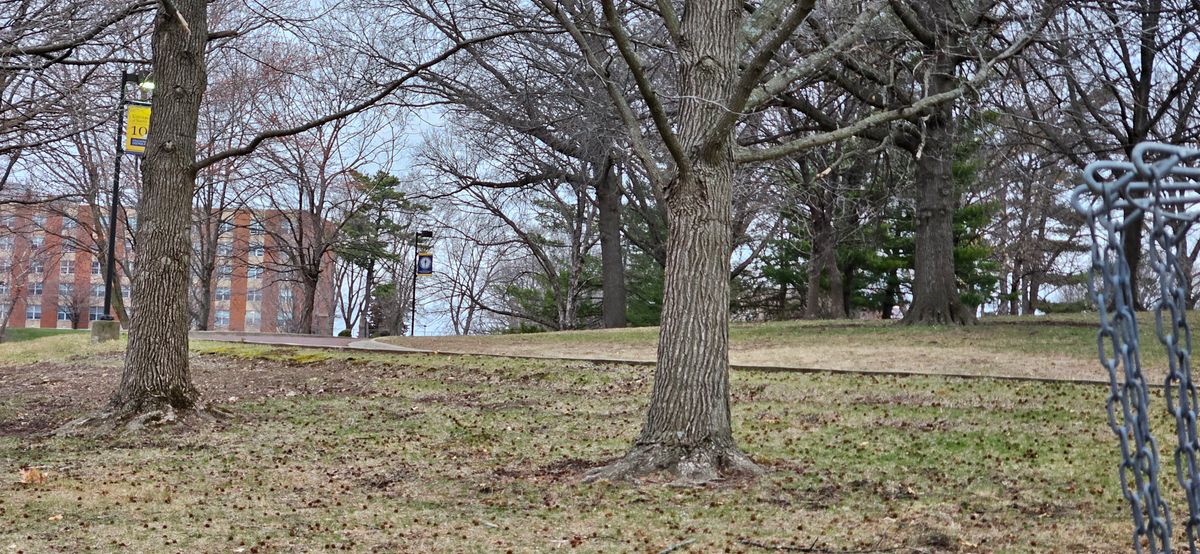 Hole 9 Basket