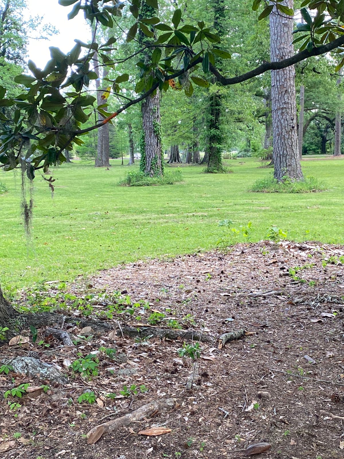 Tee 7