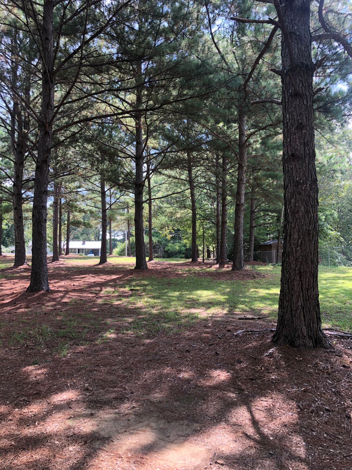 Hole 7