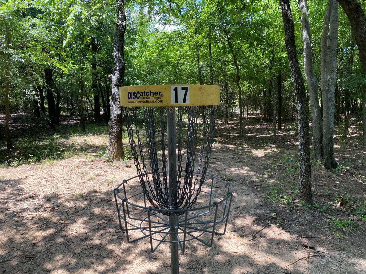 Hole 17 Basket