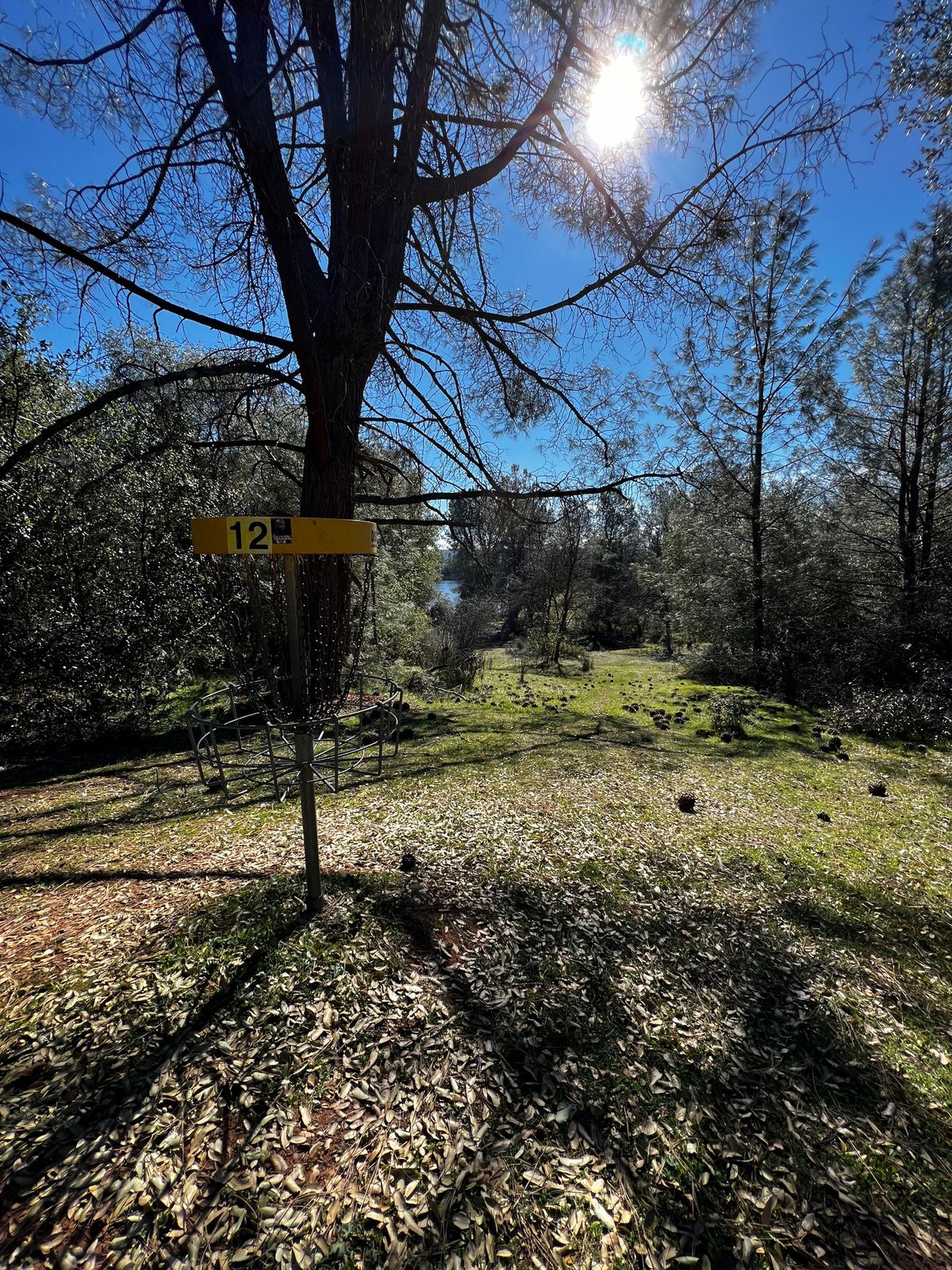 Nice views at hole 12.