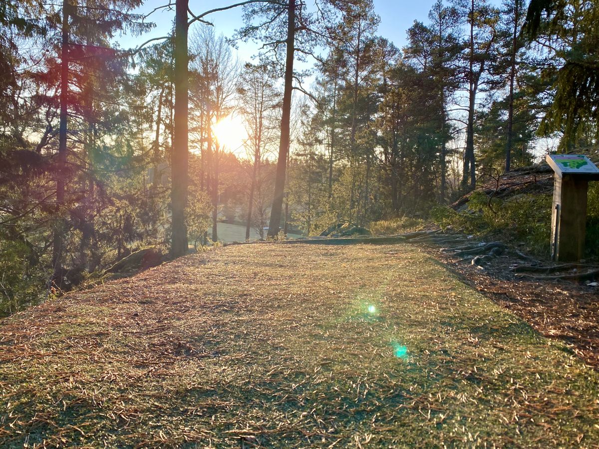 Hole 5