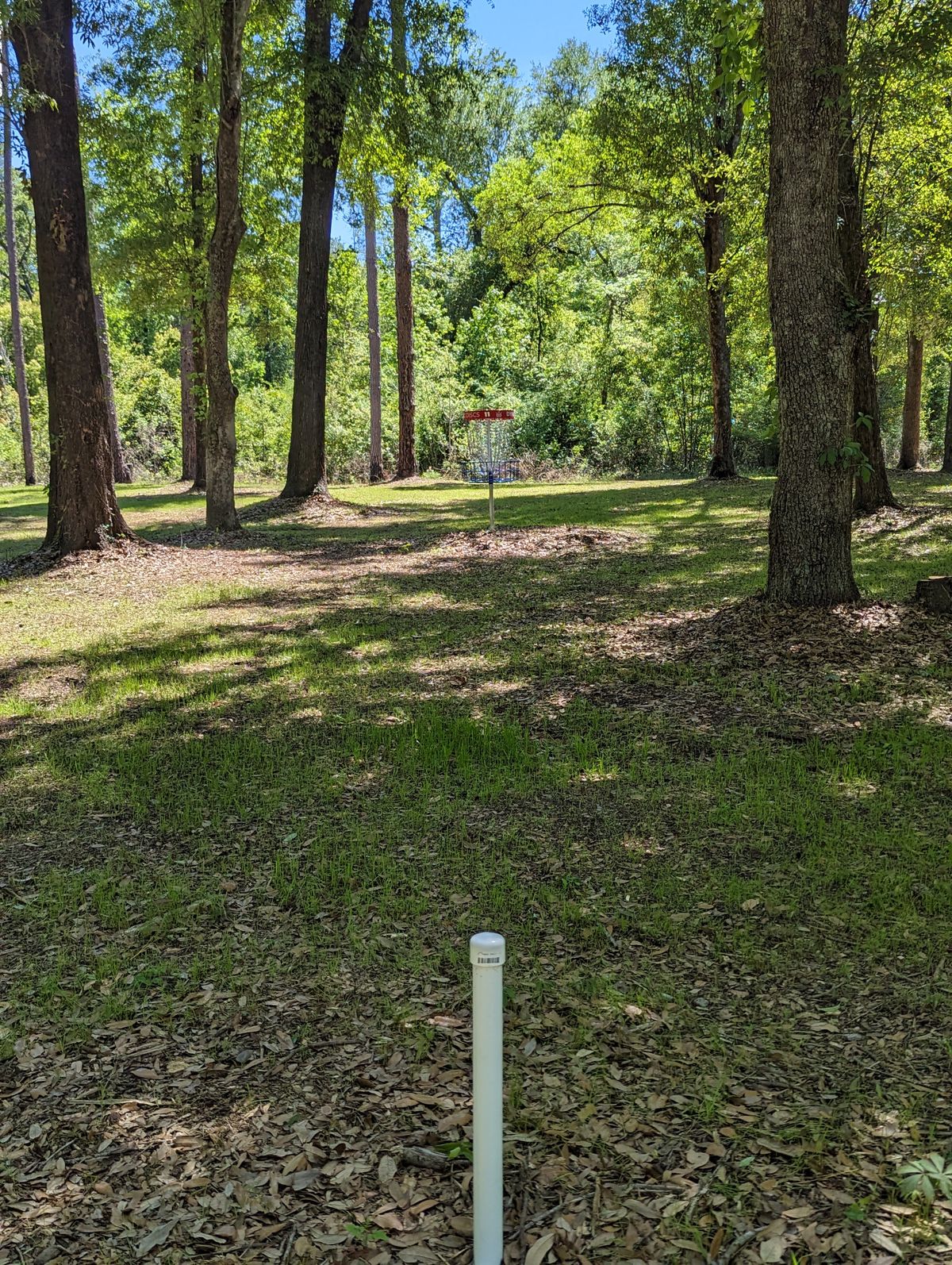 Hole 11 A and Veteran Pin Locations