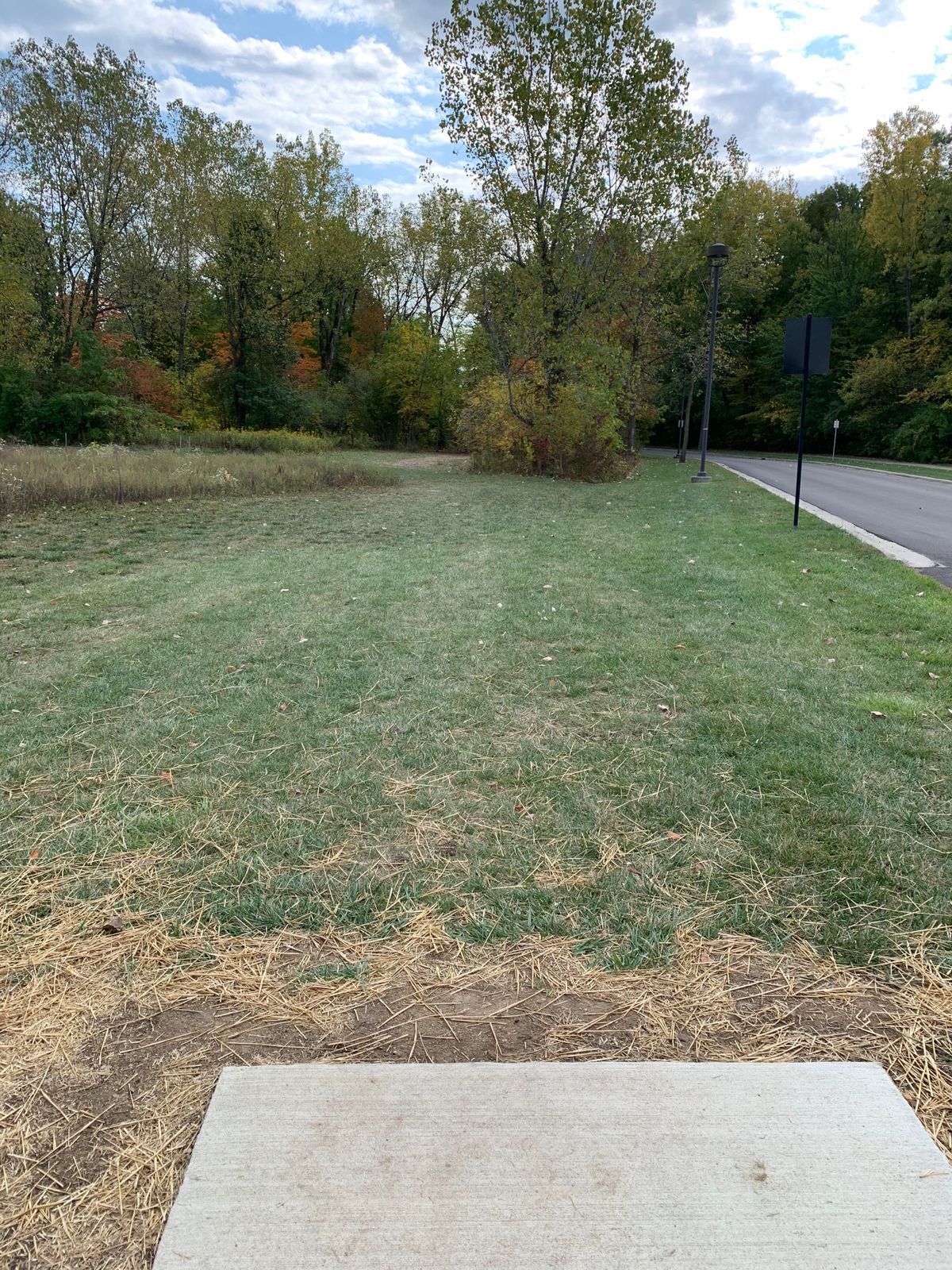 Hole 5 Tee