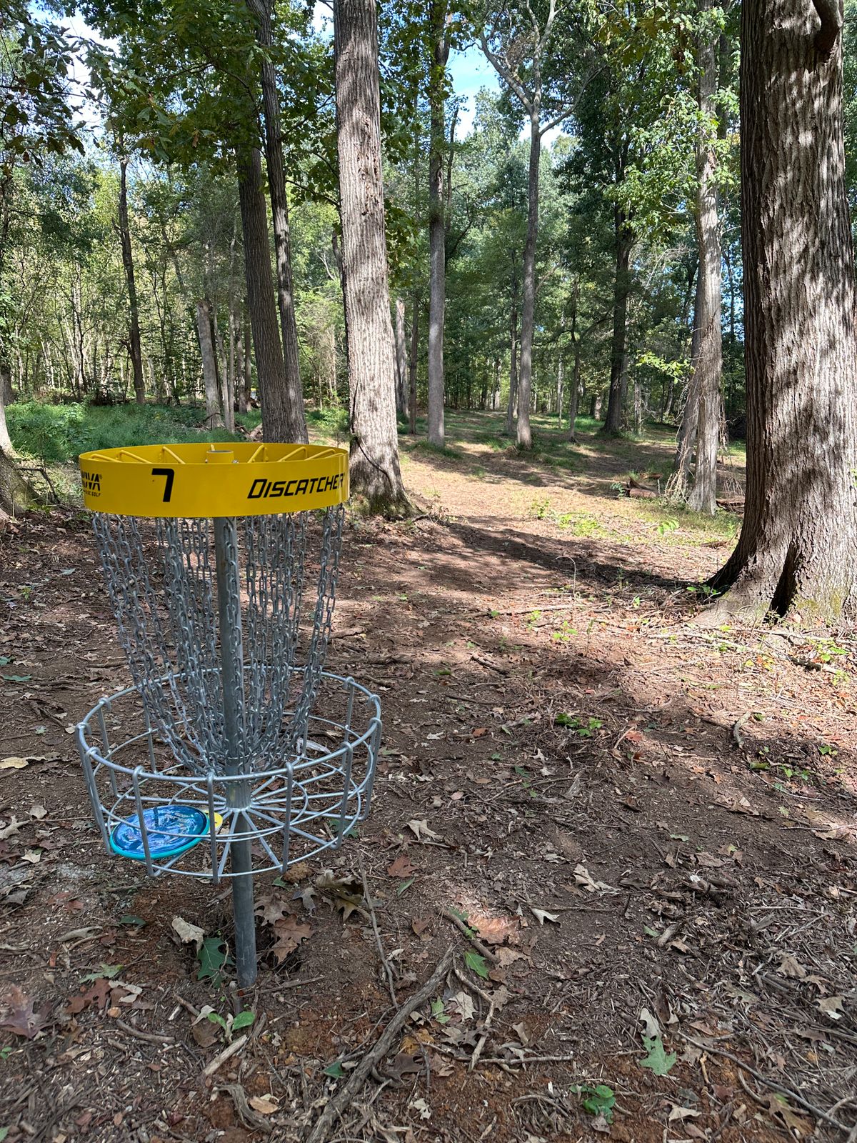 Hole 7 looking back to the tee.